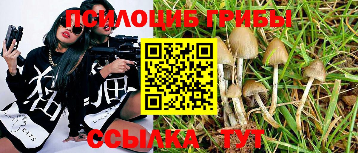 хочу наркоту  Галлюциногенные грибы мухоморы  Галлюциногенные грибы Psilocybine cubensis  Вход с VPN  Орехово-Зуево 
